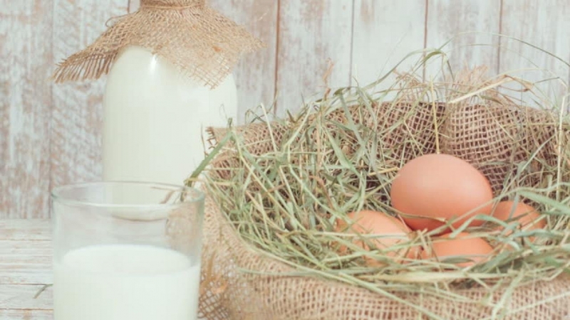 Учёные научились создавать яйцо без курицы и молоко без коровы.