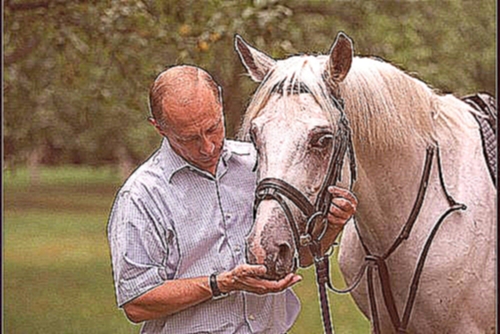 Президент Киргизии подарил Владимиру Путину коня 