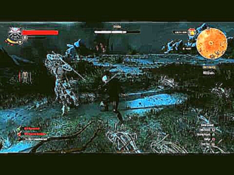 The Witcher 3 - Wild Hunt ► Eredin Final Boss Battle 