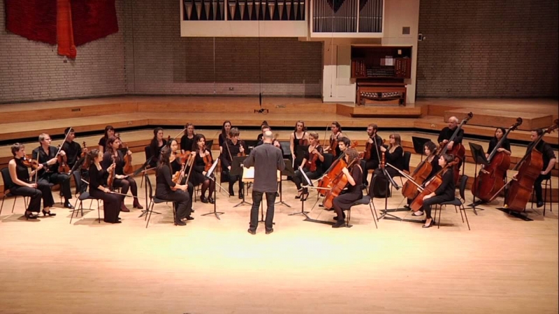 Antonin Dvorak - Serenade for Strings in E Maj., Op 22, Mvt. 2, Tempo di Valse