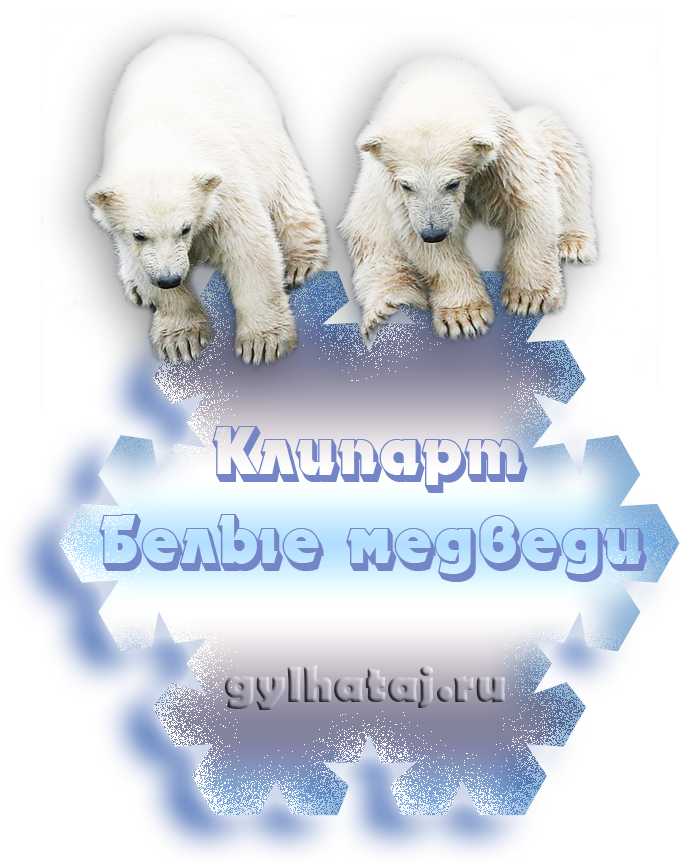 Белый медведь - Песнь медведицы