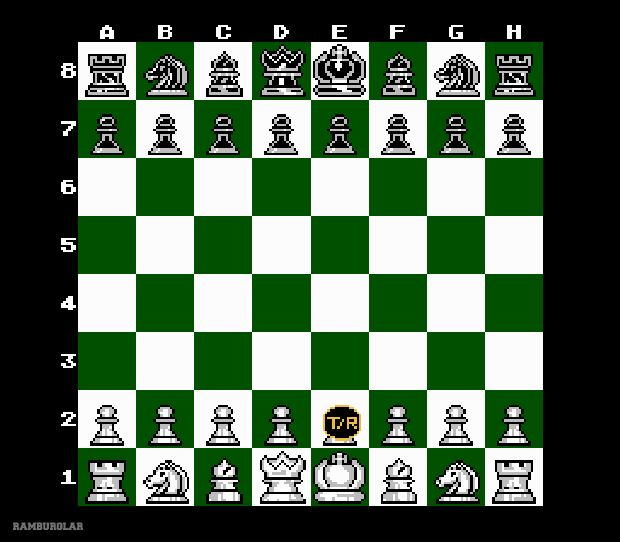 Chessmaster (NES) - Check