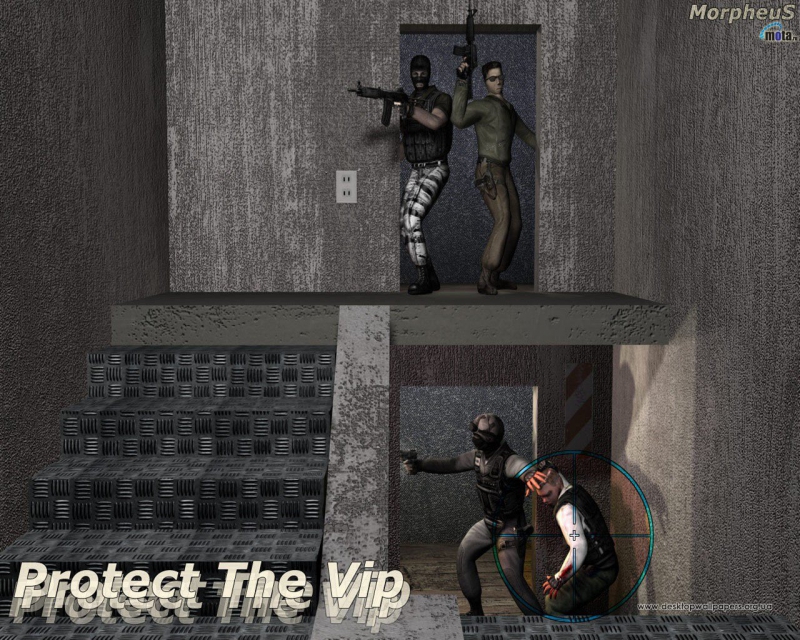 Counter-Strike - Protect the VIP