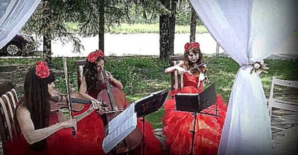 Красивая старинная музыка на скрипках - свадьба на природе 