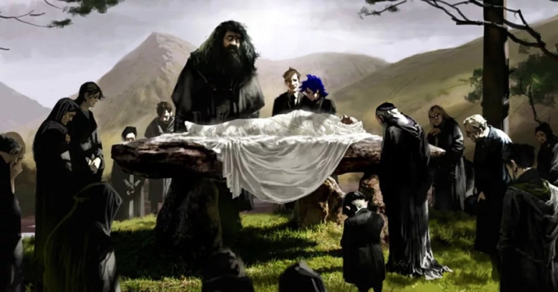Гарри Поттер и Принц-полукровка - Глава 22. После похорон.