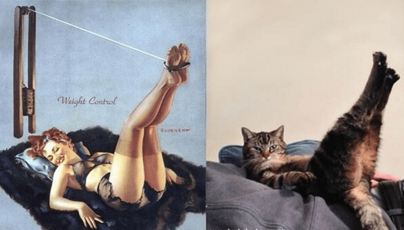 Марта Кетро - Женщины и коты, мужчины и кошки_часть 5