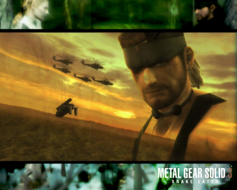 Metal Gear Solid 3 - Life's End