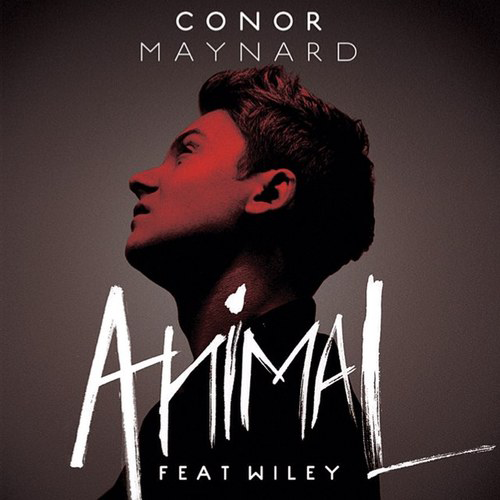 Animal Contrast - Tribute to Conor Maynard & Wiley