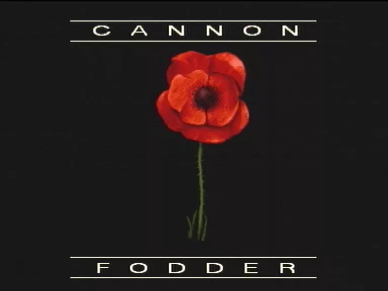 Never Been So Much of a Pain in the Ass Cannon Fodder, Amiga