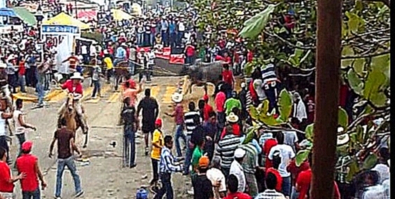 Bulls abuse in Tlacotalpan Mexico during Fiesta de la Virgen de la Candelaria 