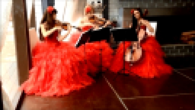 Щелкунчик (П.И.Чайковский) - струнное трио Violin Group DOLLS, фоновая музыка 