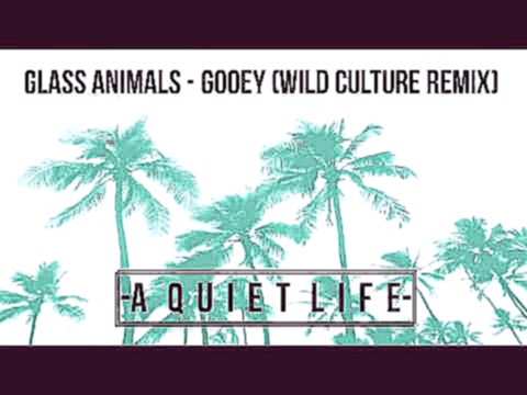 Glass Animals - Gooey (Wild Culture Remix) 