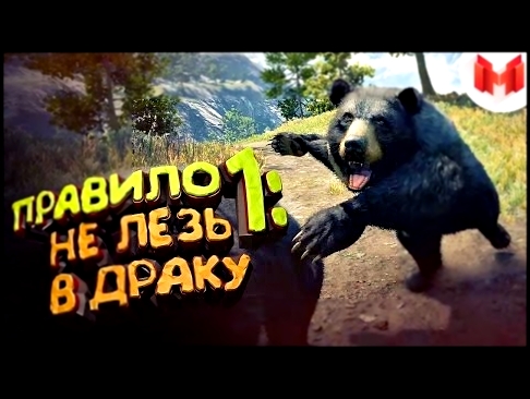Far Cry 4 "Баги, Приколы, Фейлы" 