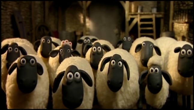 Барашек Шон / Shaun the Sheep: серия 20. Стрижка (Fleeced) 