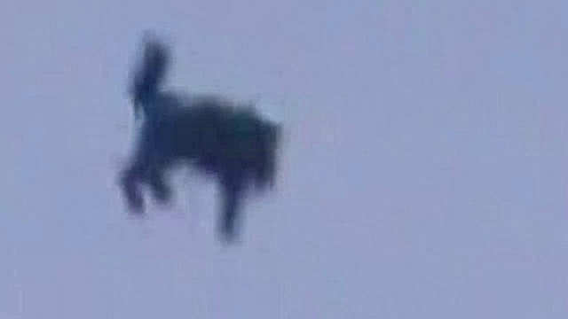 UFO abducts a dog, cat in Moscow Russia▬OVNI Rapta un gato en Rusia 07/06/2015  