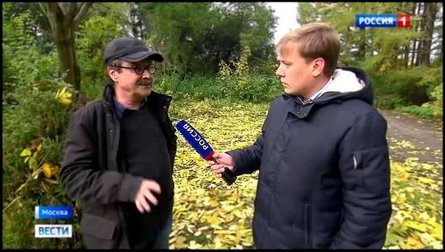 За и против: москвичи спорят, убирать ли листву с газонов 