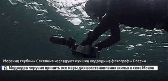 РГО организовало экспедицию для исследования подводного мира Сахалина 
