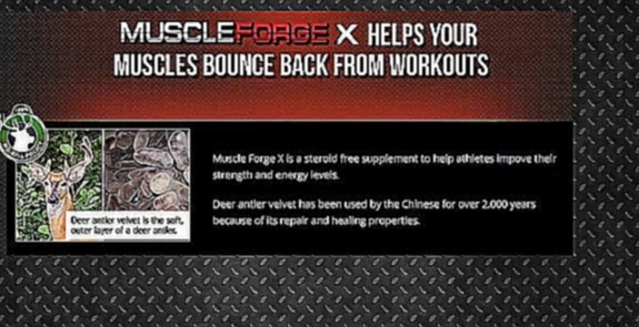Muscle Forge X - Burn Fats, Boost Testosterone & Get Ripped! 