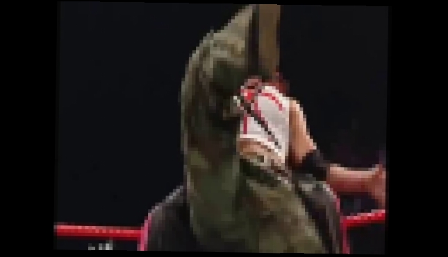 RAW - Trish Stratus VS Lita - Women's Championship Match By NWK 