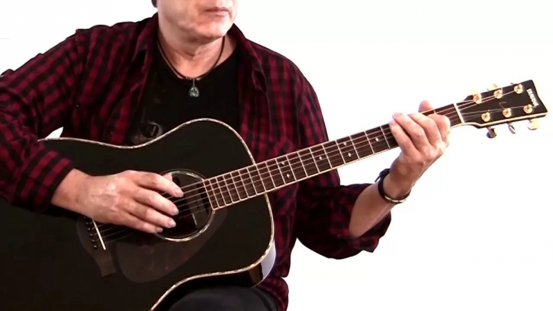 Акустическая гитара - Гитара Метро 2033