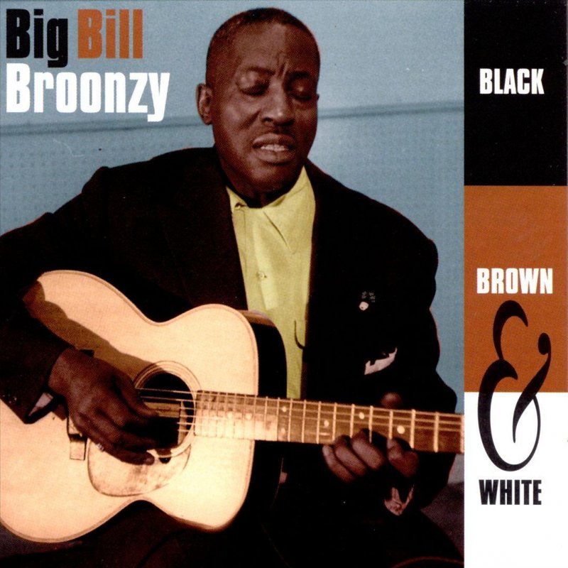 Big Bill Broonzy - Black Brown and White Blues