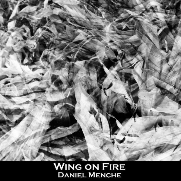daniel menche (*1969) - wings on fire 2006 1 i