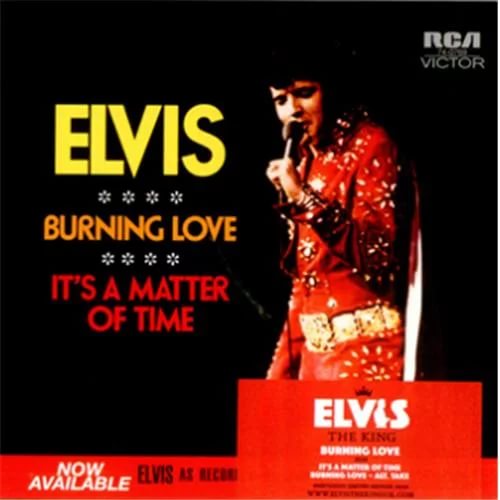 Elvis Presley - Burning Love План игры
