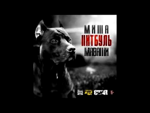 Миша Маваши ft. Ненаумах - Жизнь игра (альбом "Питбуль" 2017) 