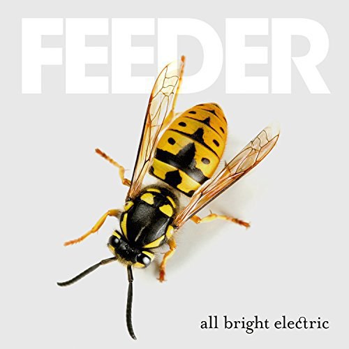 Feeder - The Impossible