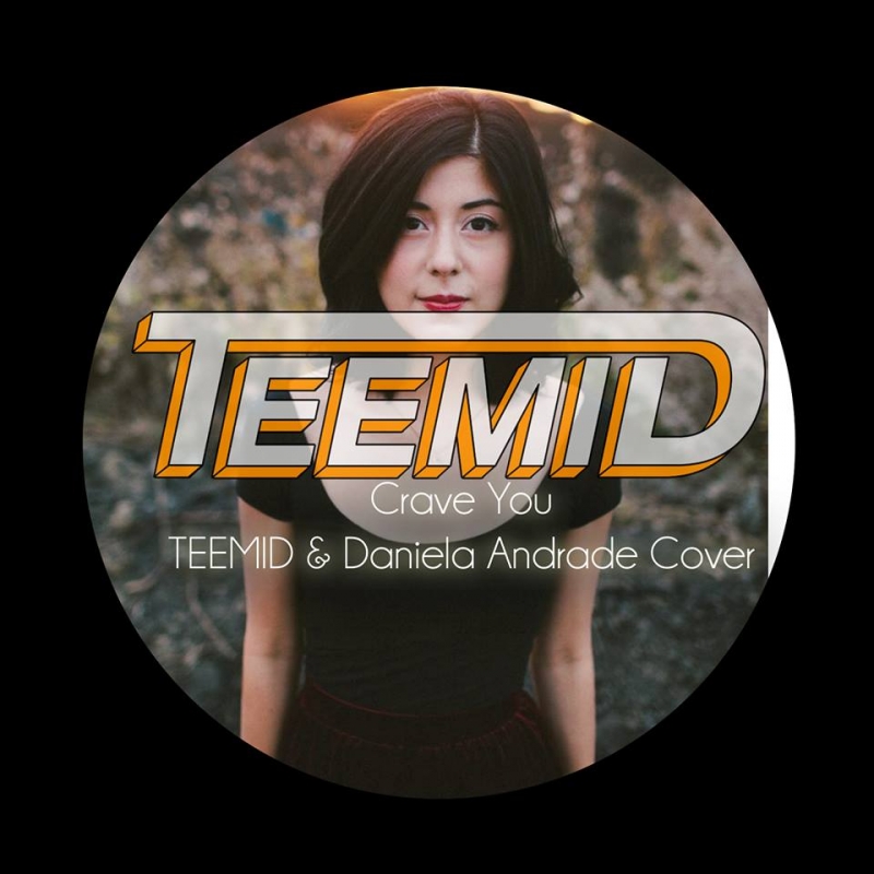 FF - Crave You TEEMID & Daniela Andrade Cover