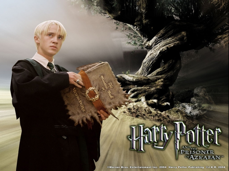 гарри поттер и узник азкабана игры - Harry Potter and the Prisoner of Azkaban - PC video game music - comc sm hex dayPursuit 02