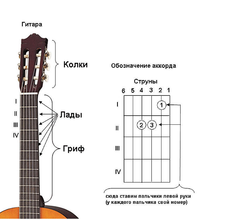 Гитара с нуля- уроки игры на гитарз - Без названия