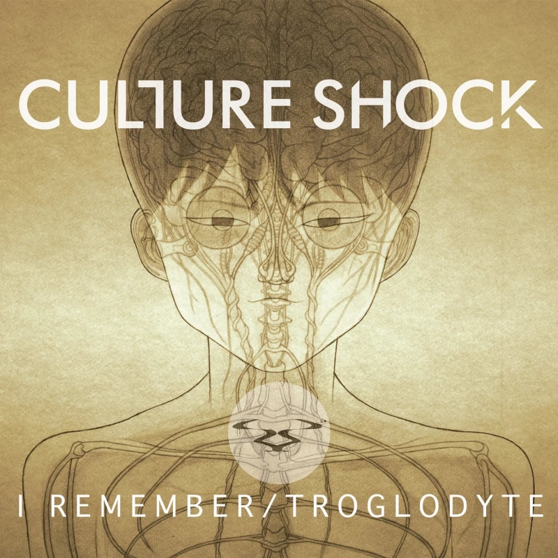 Gran Turismo 6 OST- Culture Shock - I Remember