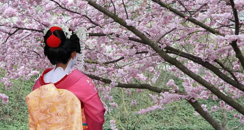 Японская вдохновляющая музыка - Цветущая вишня