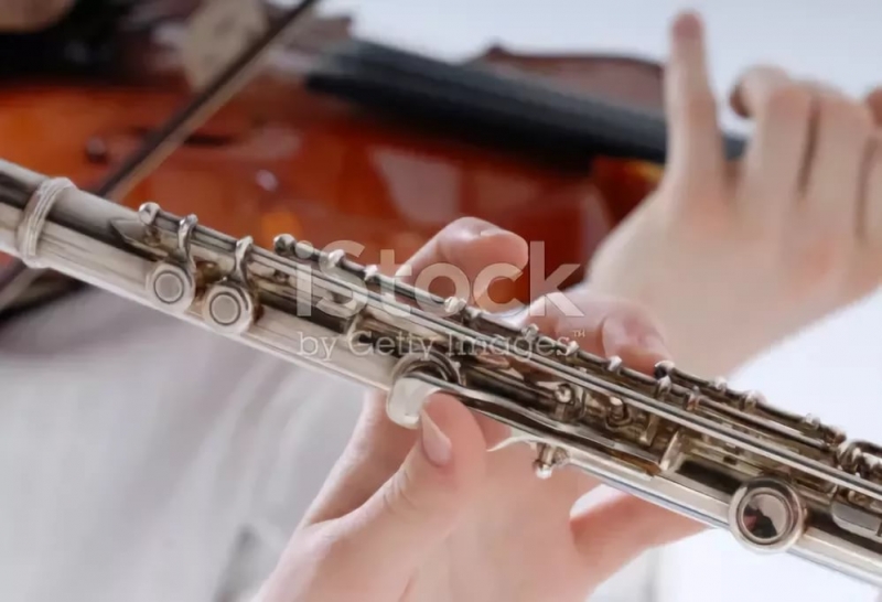 Китайская мелодия - Пионино, скрипка и флейта