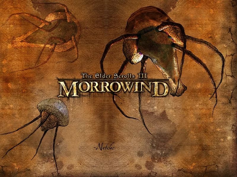 The Elder Scrolls Morrowind and Skyrim