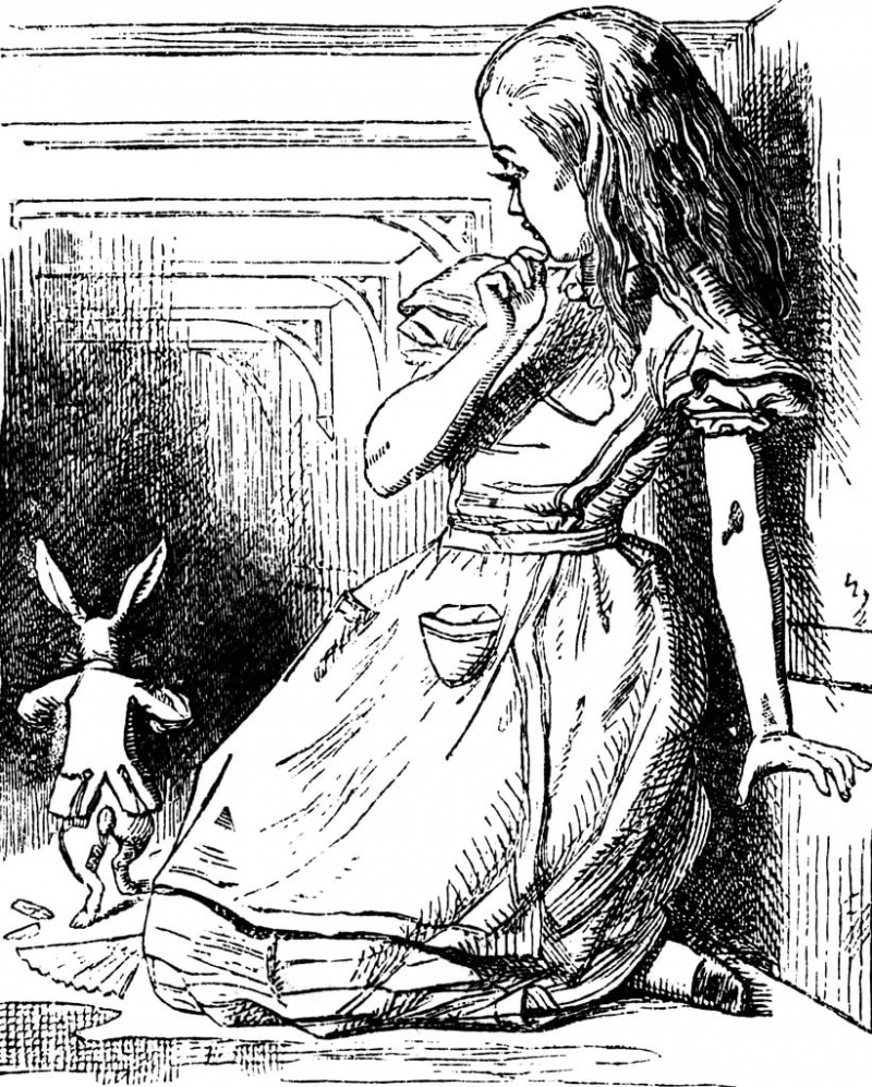 Льюис Кэролл - Алиса в стране чудес - Вступление. Глава первая. Кувырком за Кроликом.