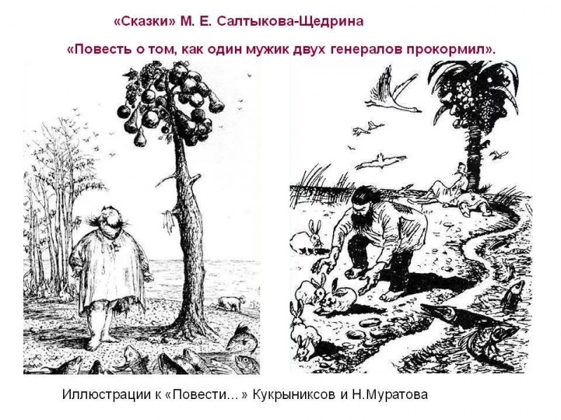 М. Е. Салтыков-Щедрин (Семен Ярмолинец) - Повесть о том, как один мужик двух генералов прокормил