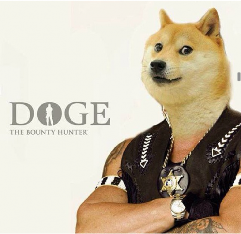 MC DOGE