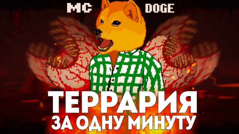MC DOGE - ВСЯ ТЕРРАРИЯ ЗА 1 МИНУТУ