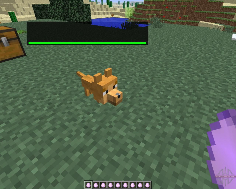 Cat-Dog