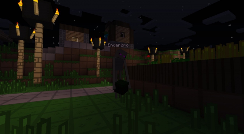Minecraft - песенка об эндербро