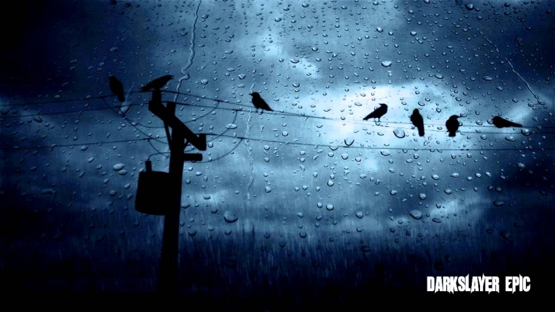 Nature Lovers - Heavy Rain with Thunder Sounds Part 32