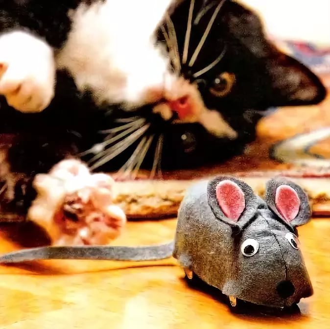 Неадекват feat Витамин - игра в кошки мышки