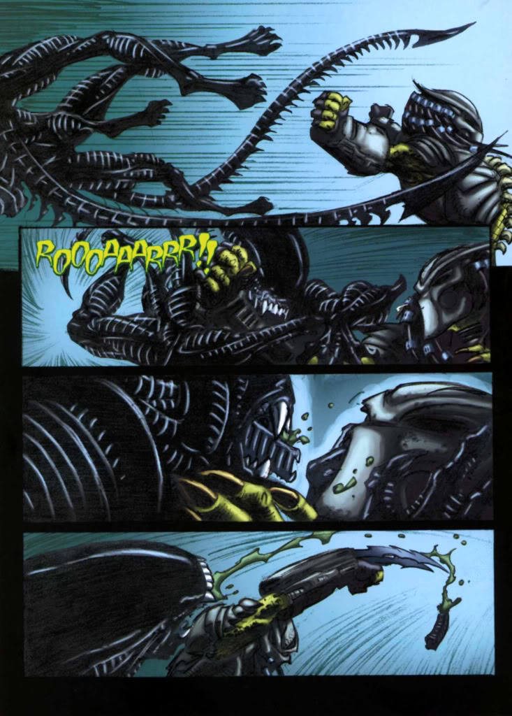 No rules - alien Vs predator