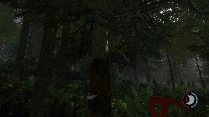 Плеер the forest 0.1