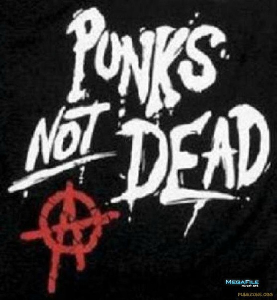 Punks not dead - Gimn pankov