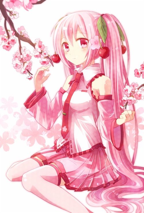 Sakura Miku