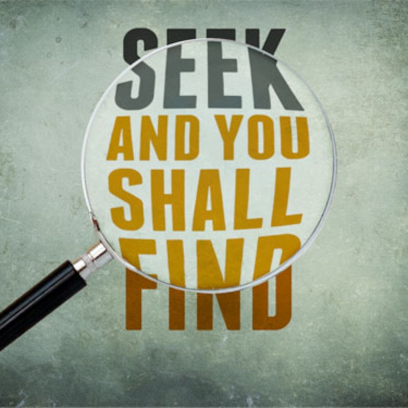 Seek And You Shell Find
