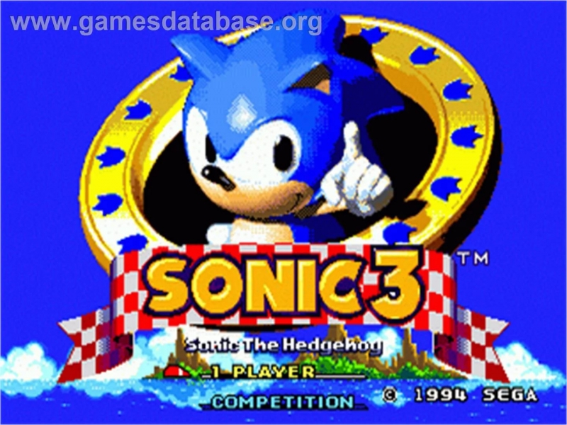 Endless Mine OST Sonic the Hedgehog 3